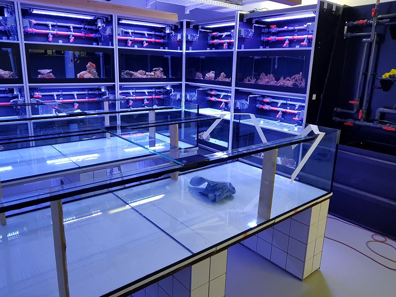 Meeresmuseum Stralsund leere Becken
