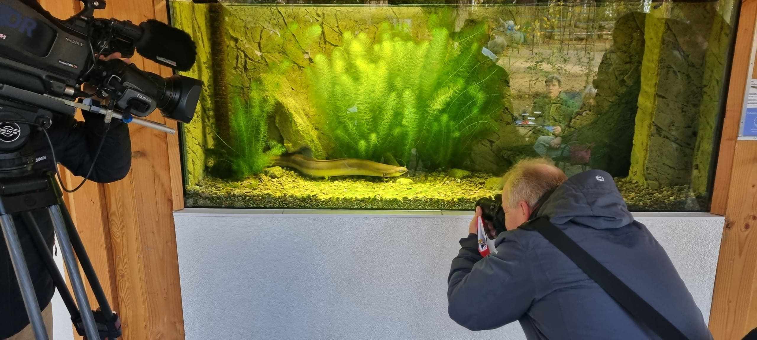 Aqua Pavillon Zoo Fotografie