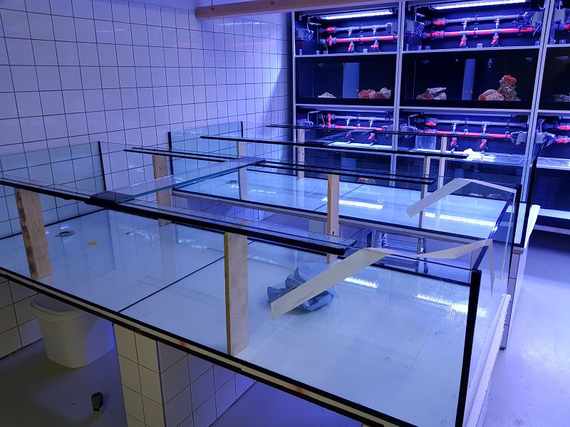leere Becken Meeresmuseum