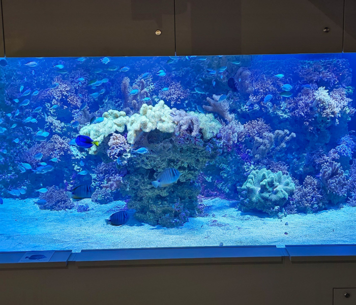 Aquarium