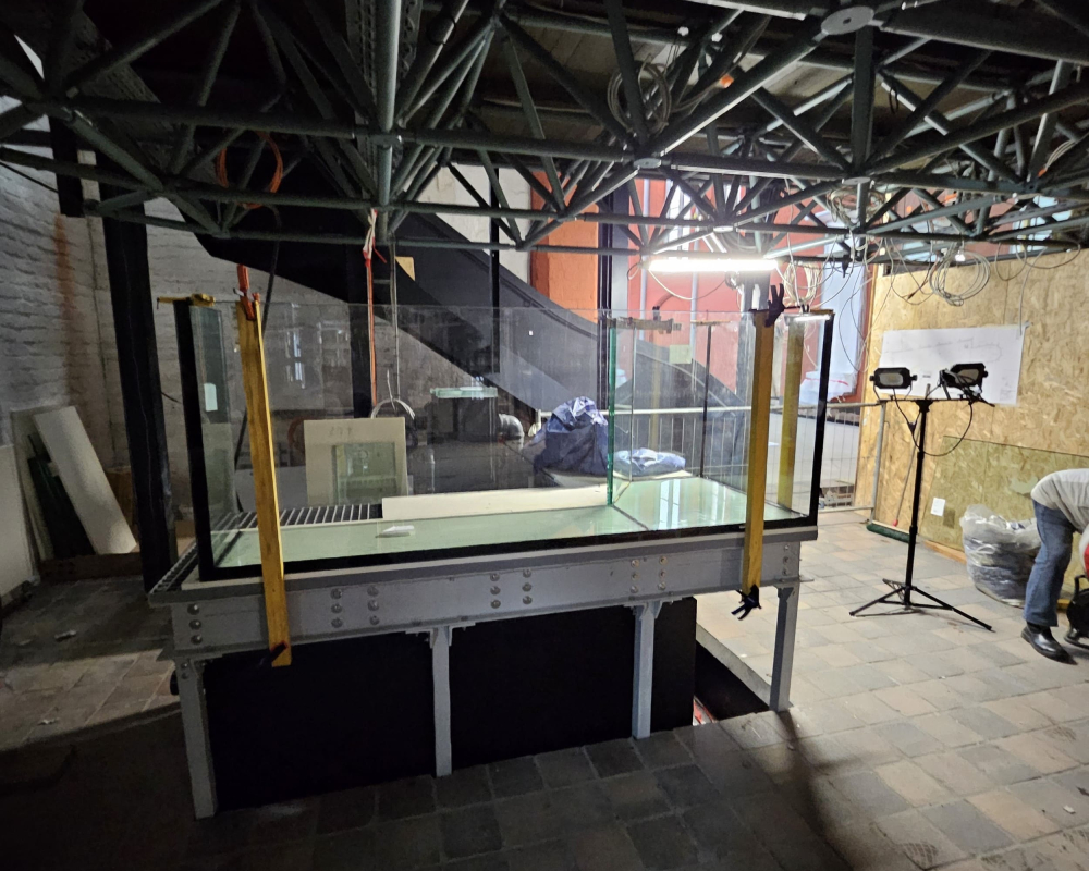 Aquarienaufbau