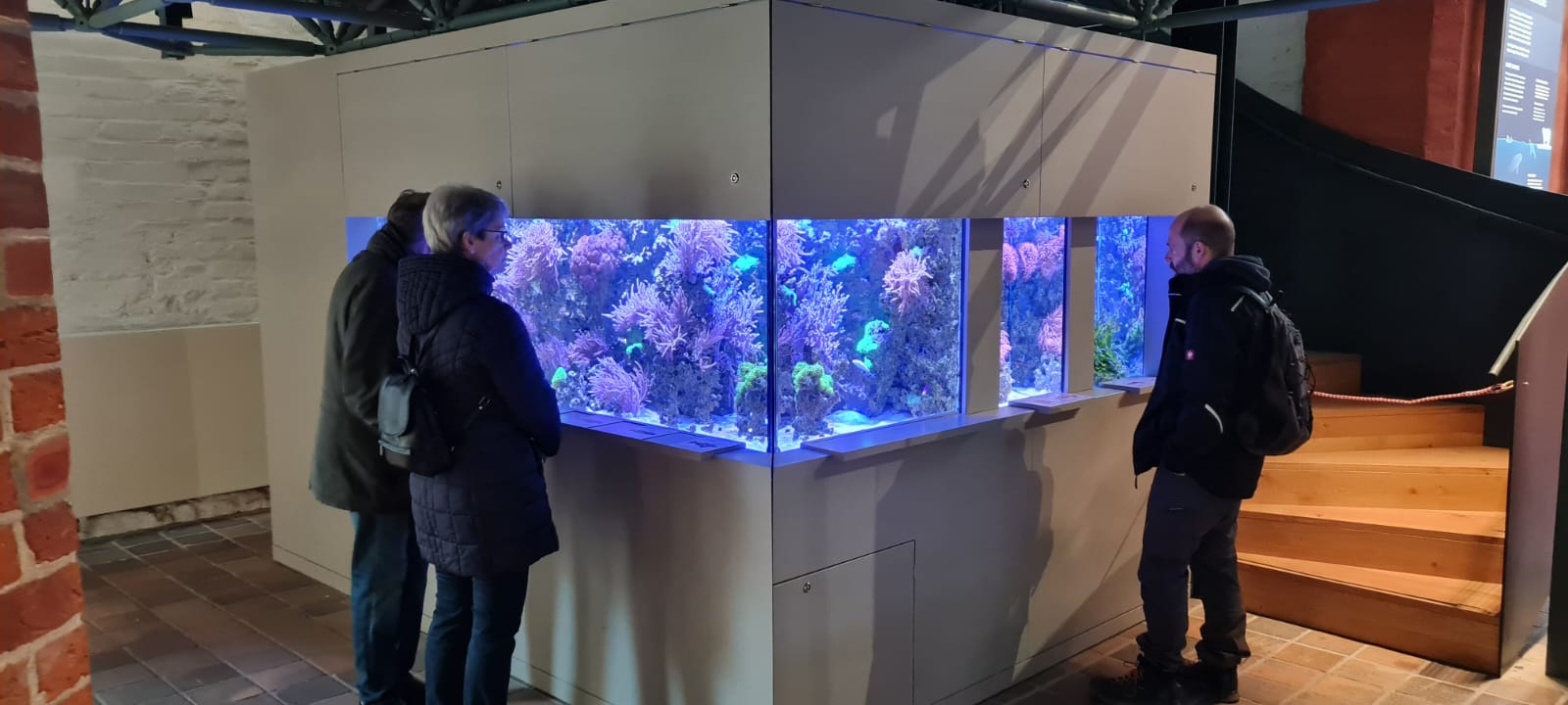 Katharienhalle fertiges Becken mit Zuschauer